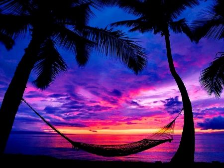 hammock sunset